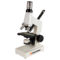 Celestron Microscopio Biologico con Webcam Digitale
